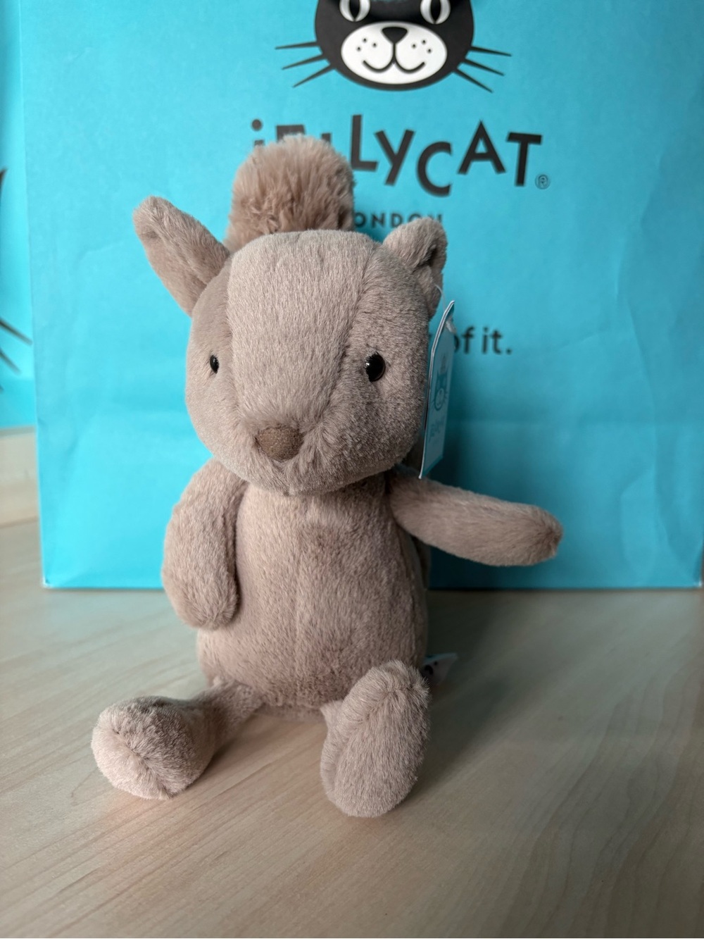 Jellycat Willow Squirrel BNWT